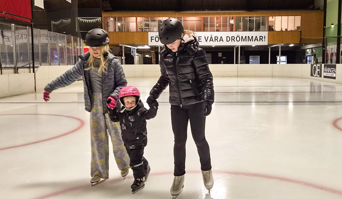 Allmänhetens åkning